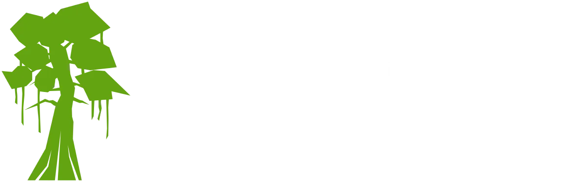 Everglades Pressure Washing